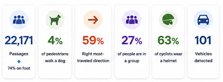 Headline recreation metrics: passages, dog walkers, travel direction, groups, helmet use, and vehicles